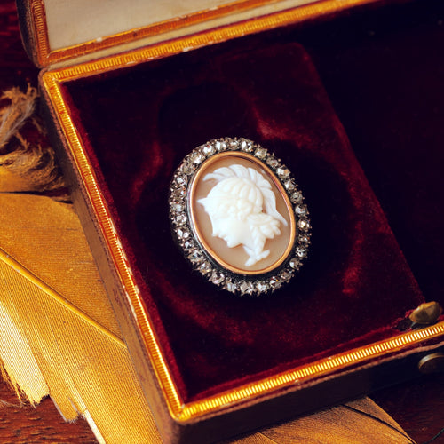 Antique Victorian Goddess Athena Shell Cameo & Diamond Brooch