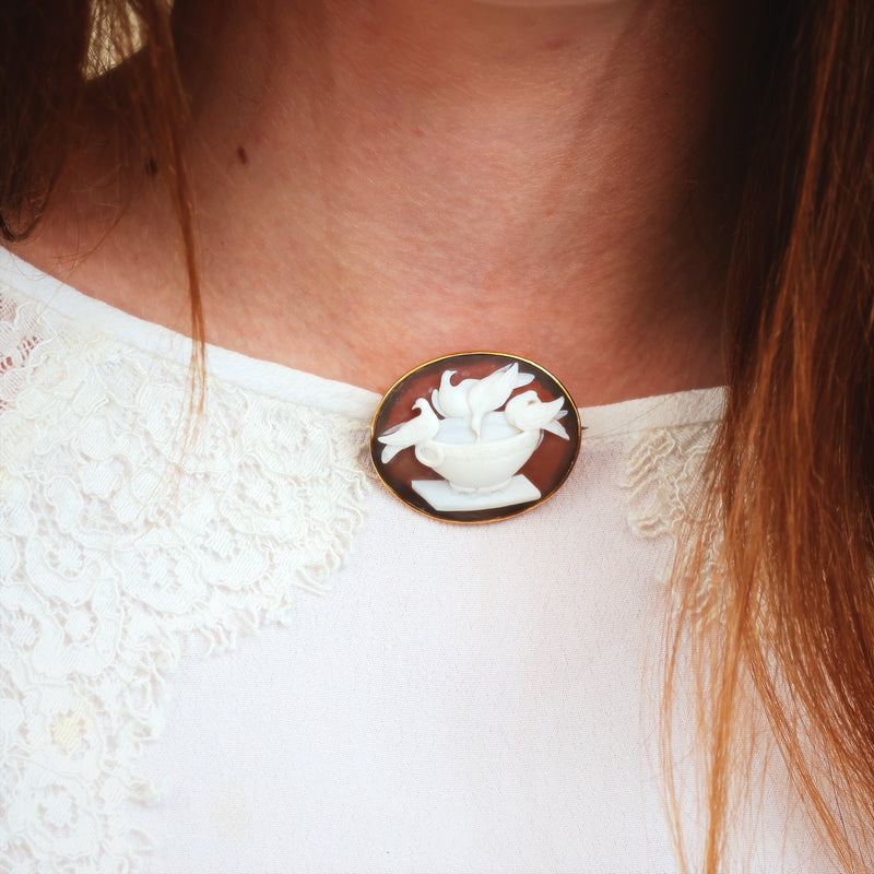 Exquisitely Antique Doves of Pliny Cameo Brooch