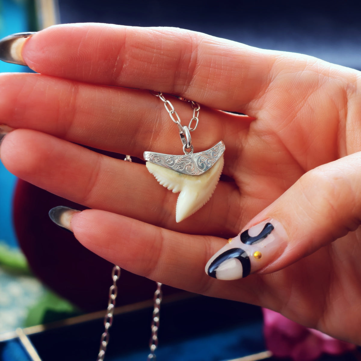 Vintage Silver Mounted Shark's Tooth Pendant