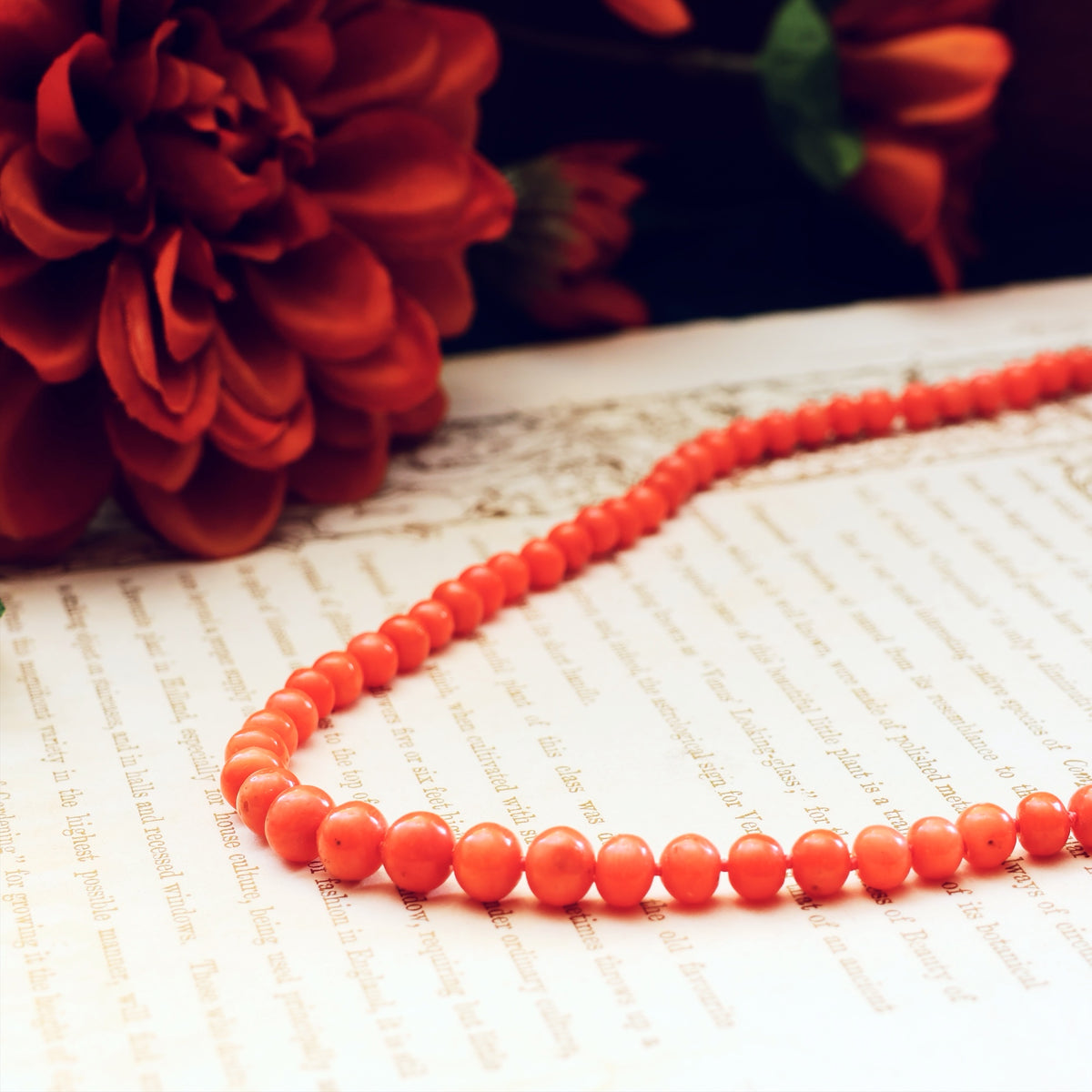 Beautiful Antique Graduated Italian Coral Necklace