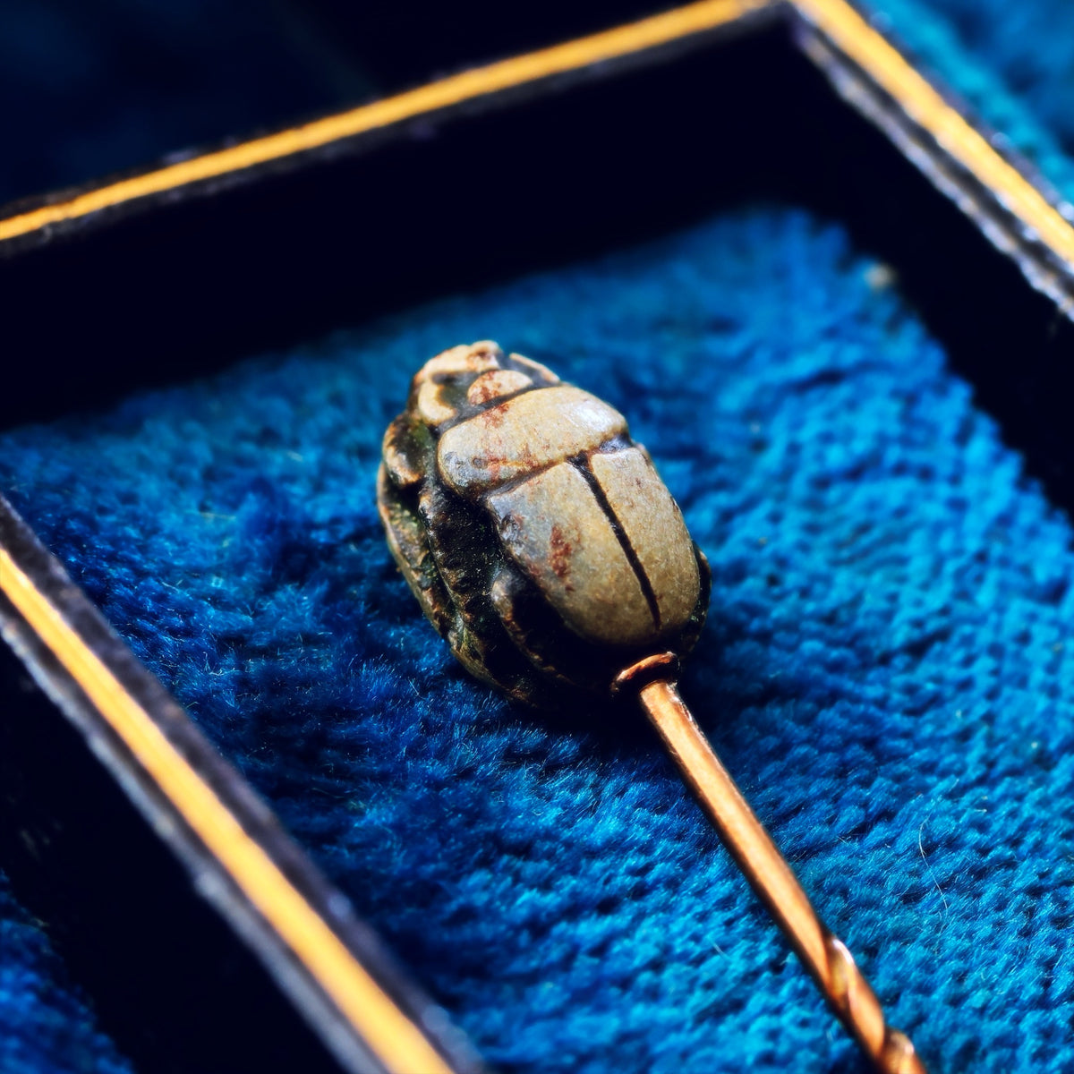 Insect pin on a blue fabric background