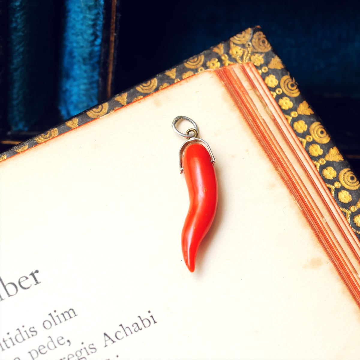 Vintage Mediterranean Coral Cornicello Pendant