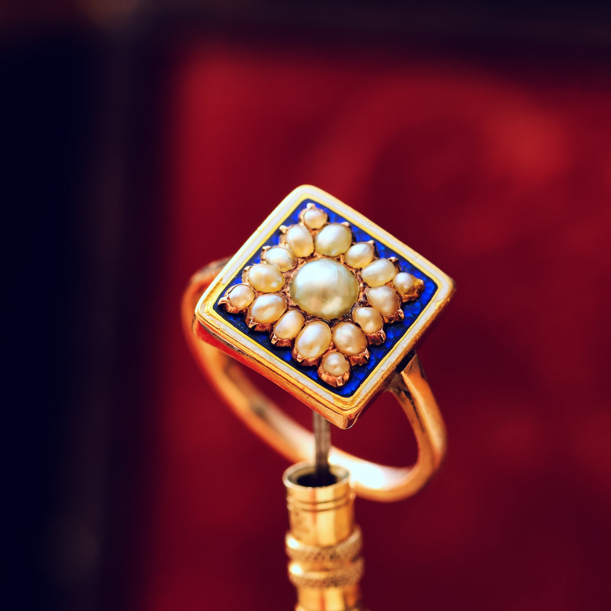 Georgian Wild Pearl & Enamel Ring