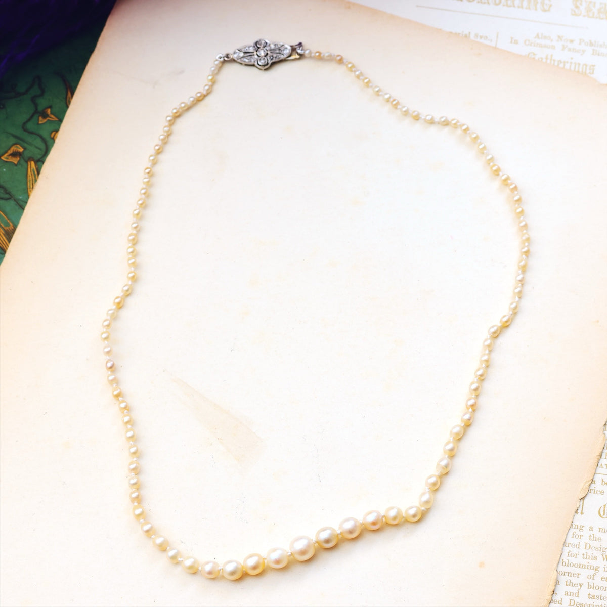 Certificated Antique Natural Saltwater Pearl Necklace