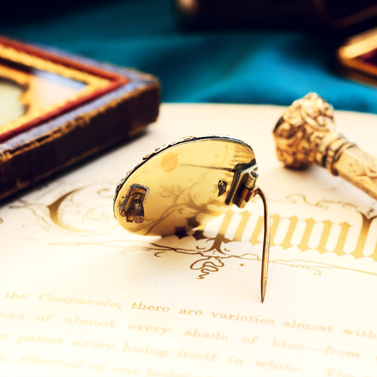 Antique Georgian Sardonyx Brooch