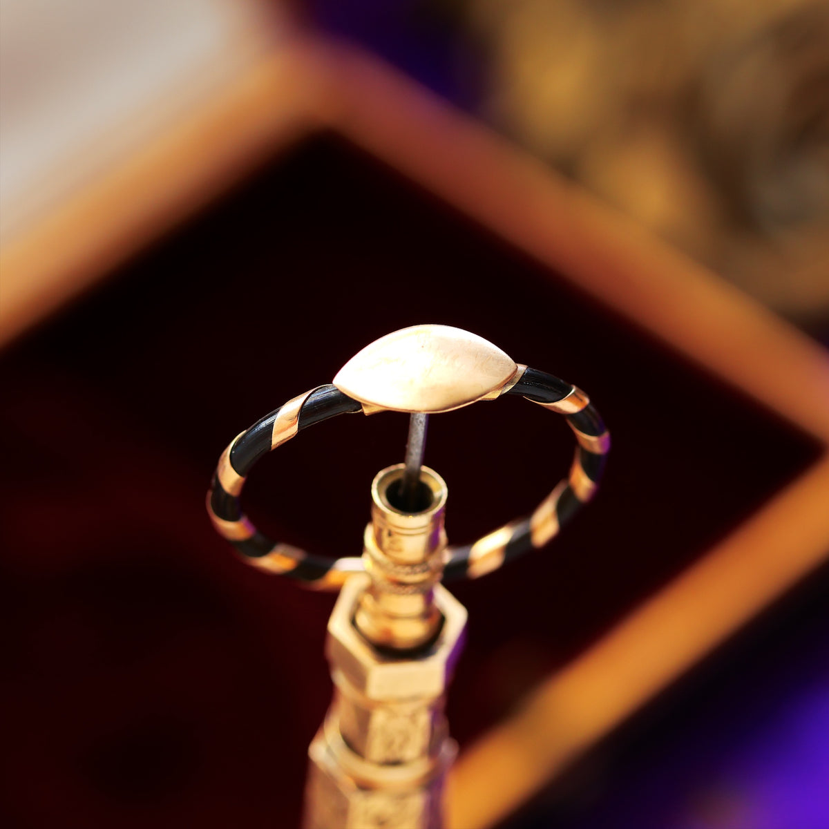 Indian Raj Period Elephant Hair Ring