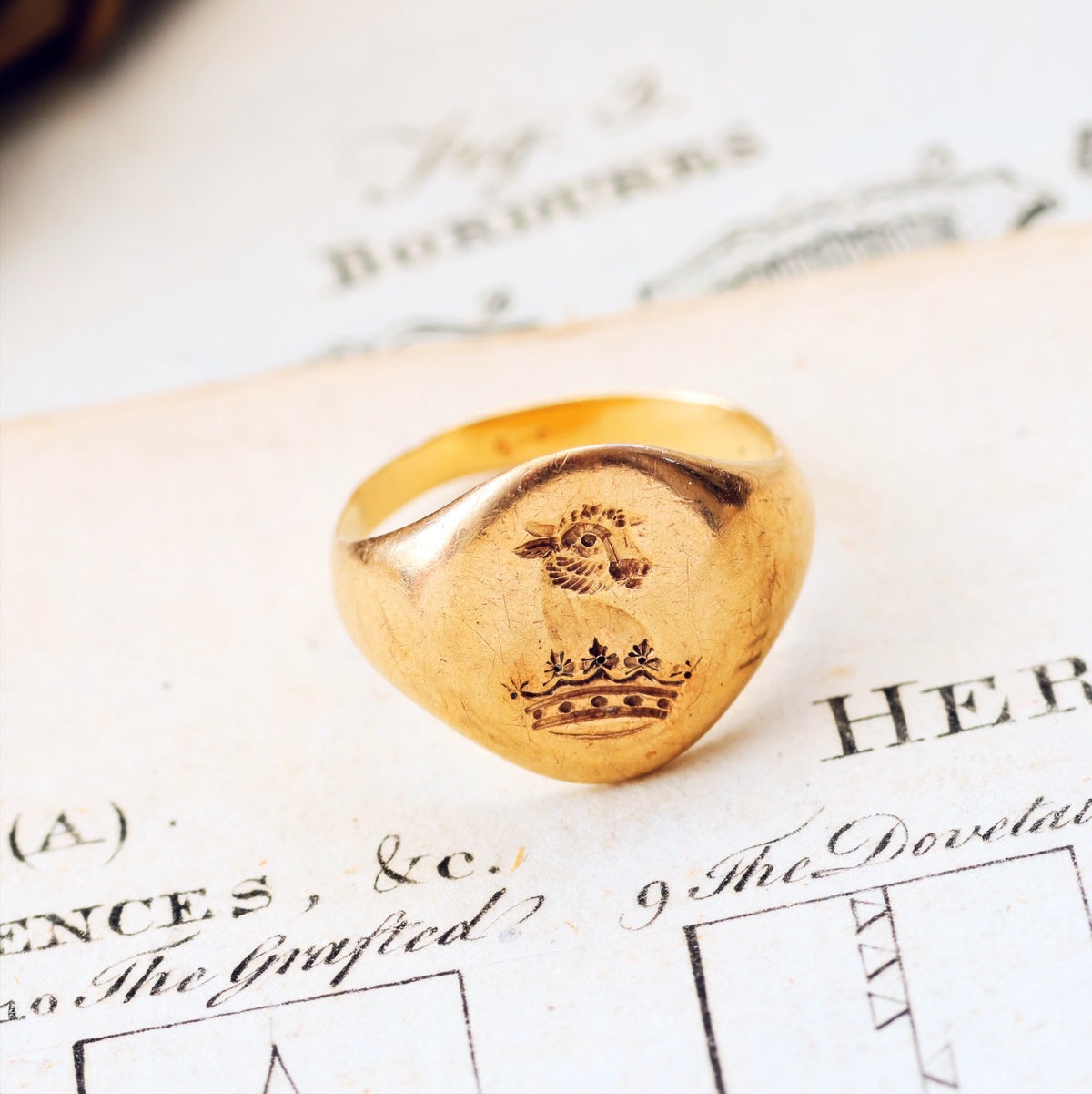 Bull's Head Ducal Coronet Signet Ring