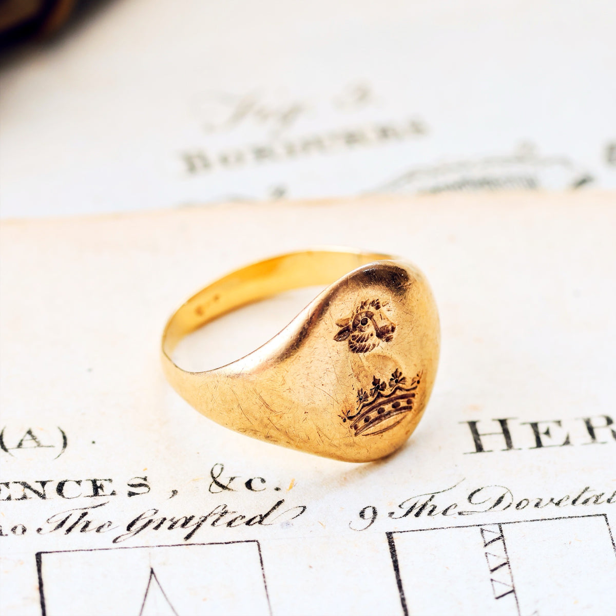 Bull's Head Ducal Coronet Signet Ring