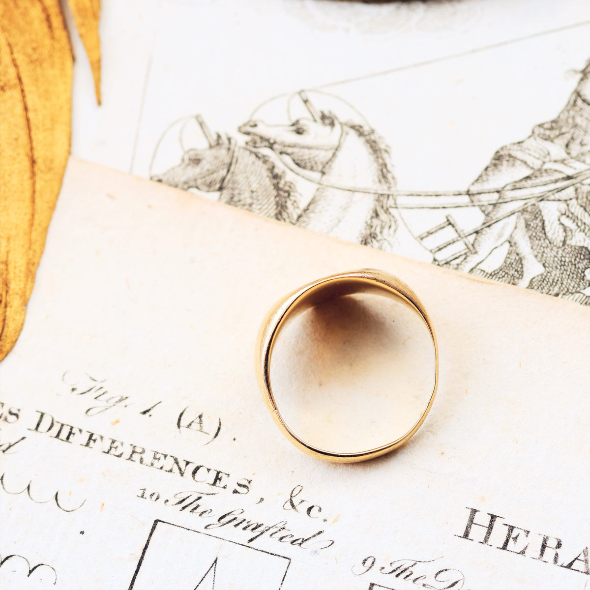 Bull's Head Ducal Coronet Signet Ring