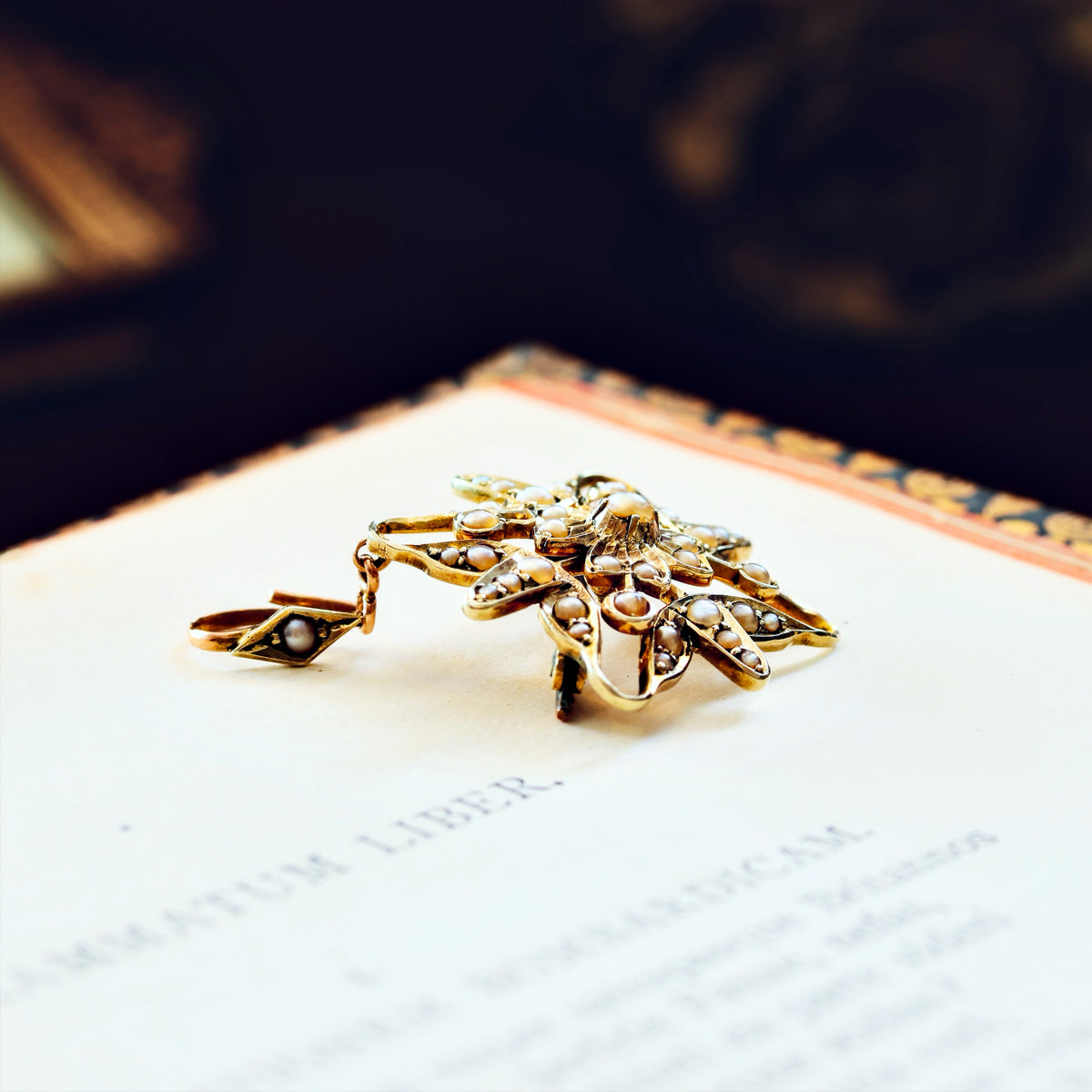 Victorian Seed Pearl Convertible Star Pendant/Brooch