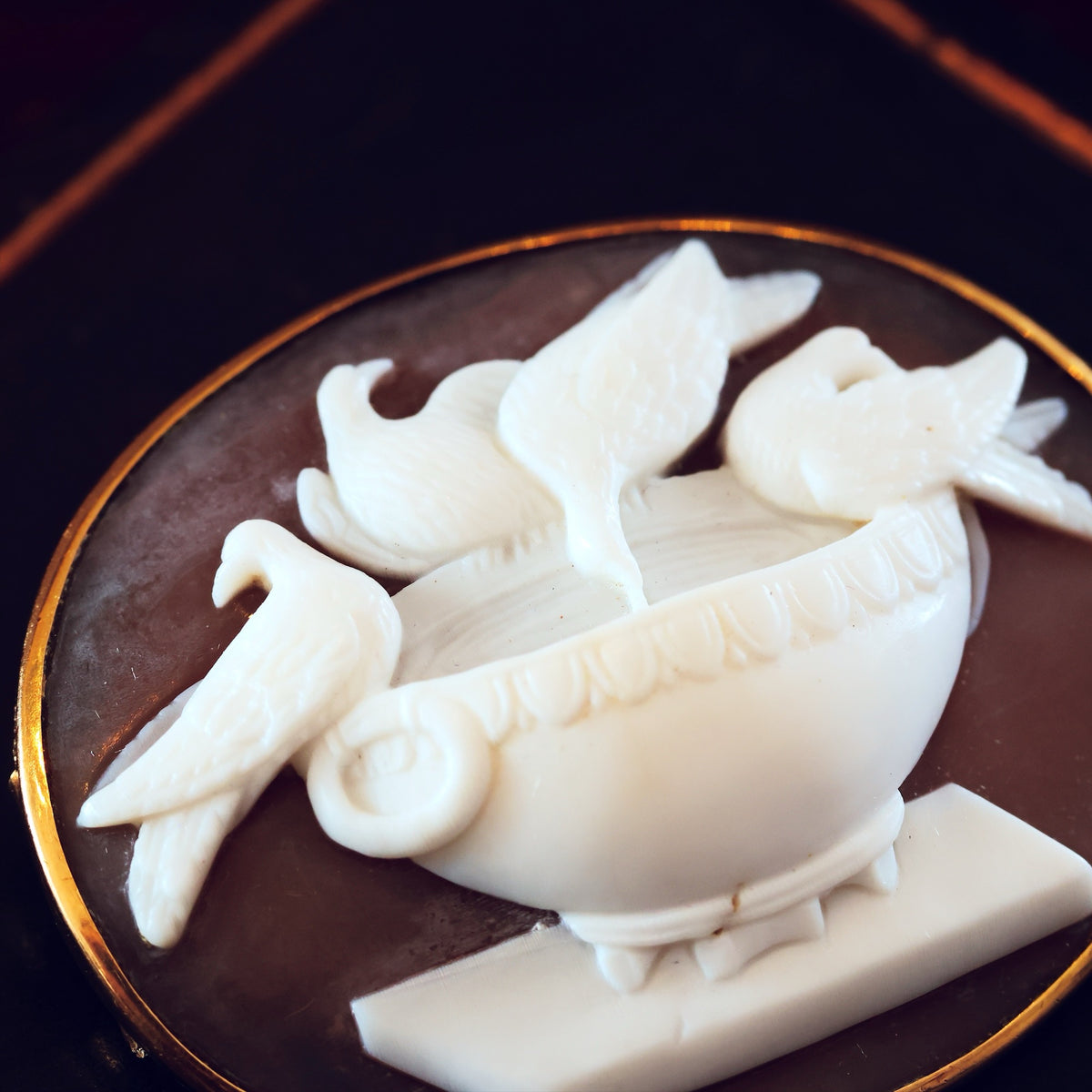 Exquisitely Antique Doves of Pliny Cameo Brooch