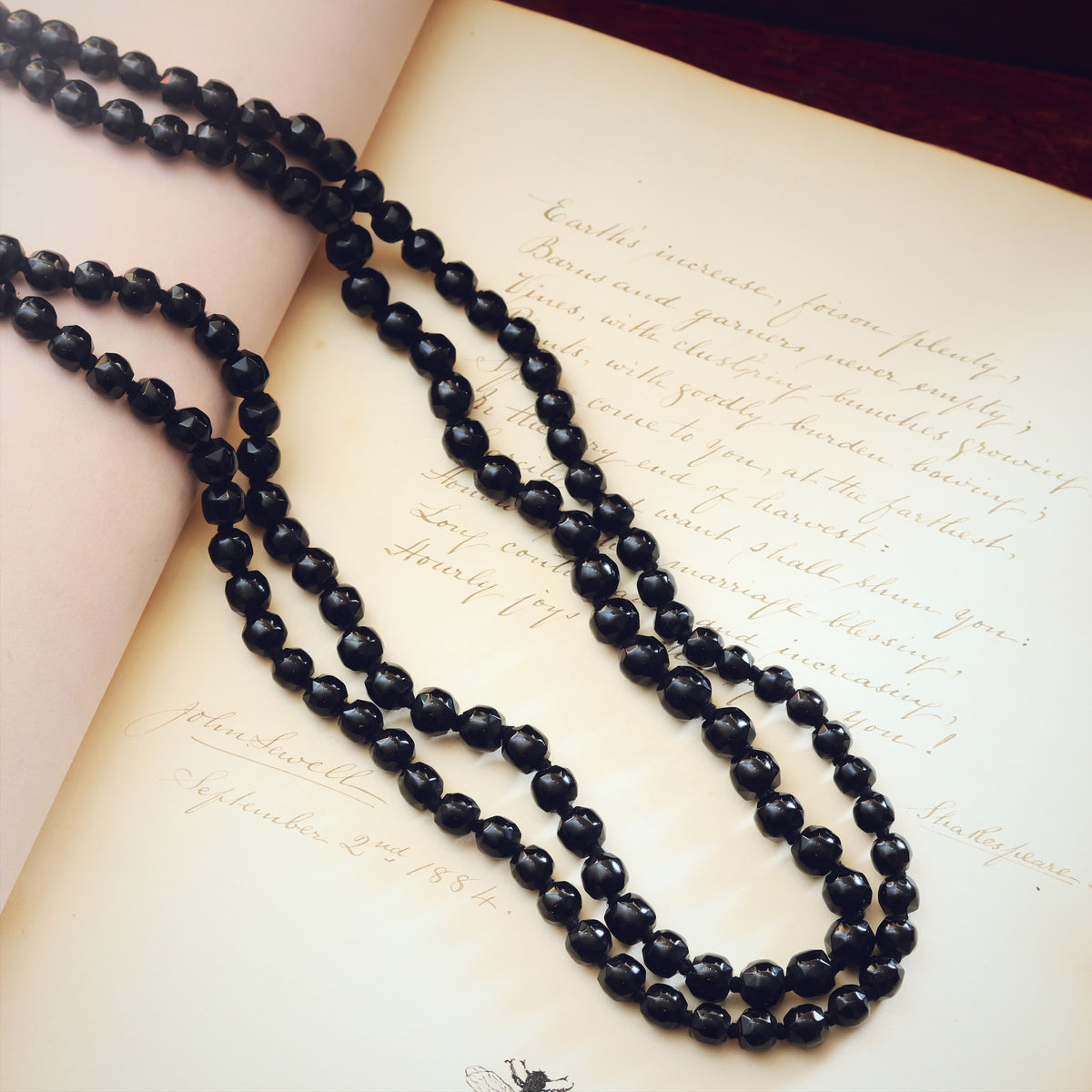 Georgian Gothic! Scarce Long Faceted Whitby Jet Necklace