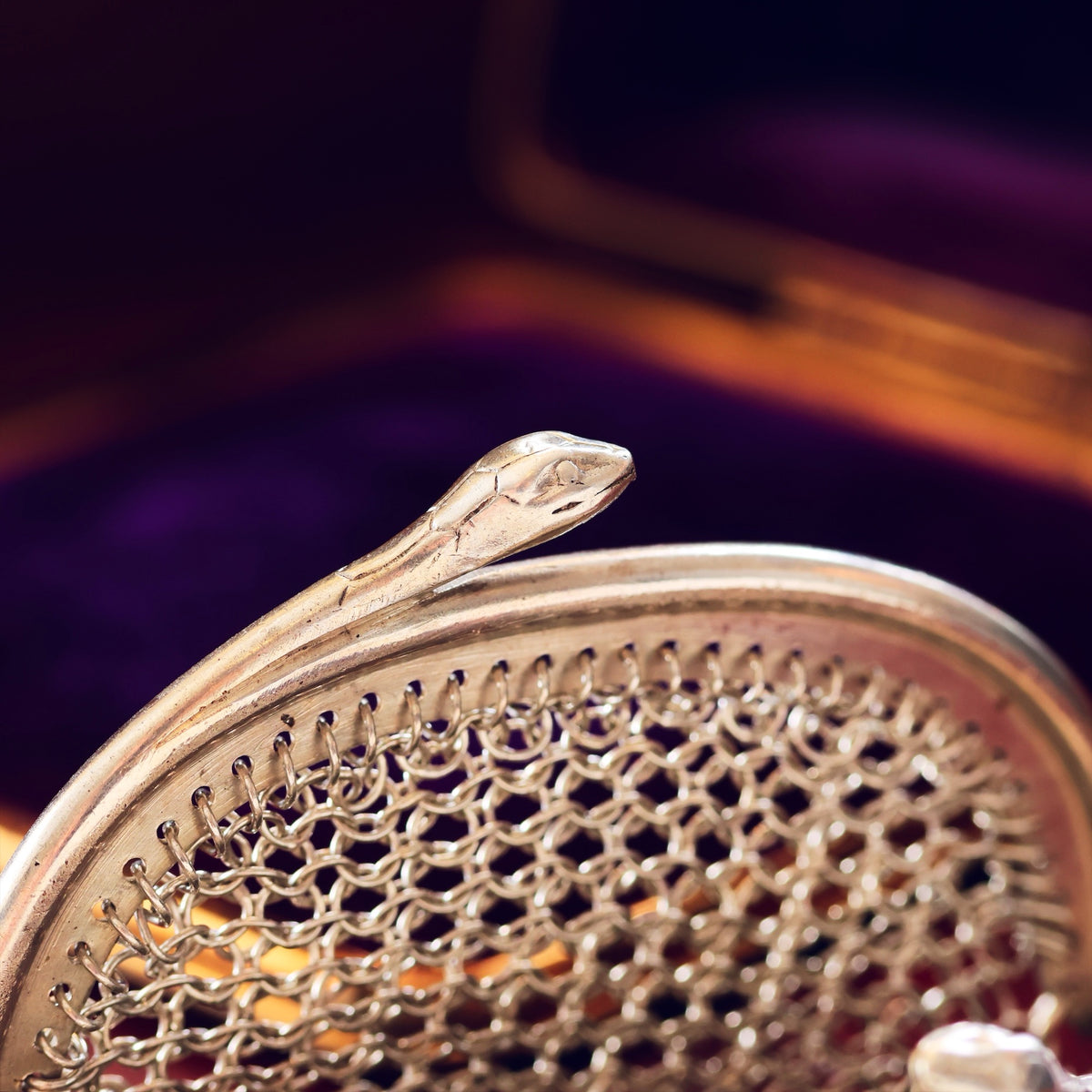A Small Antique Silver Coin Purse Guarded by Snakes
