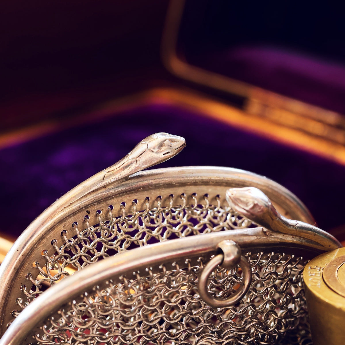 A Small Antique Silver Coin Purse Guarded by Snakes