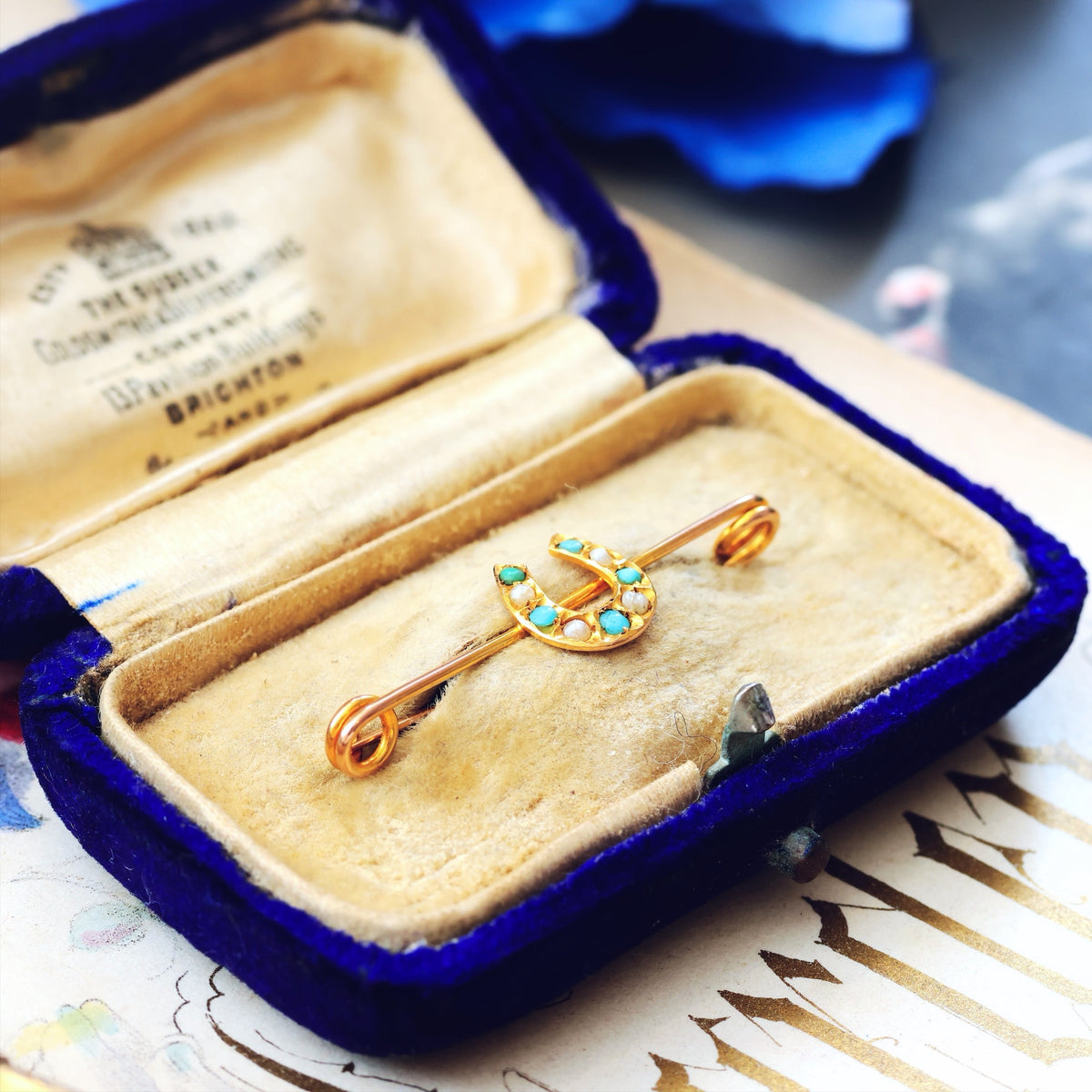 Sentimental Victorian Lucky Horseshoe Pin