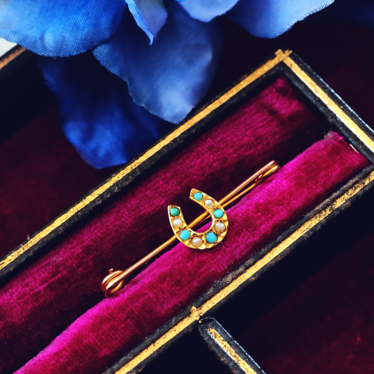 Sentimental Victorian Lucky Horseshoe Pin