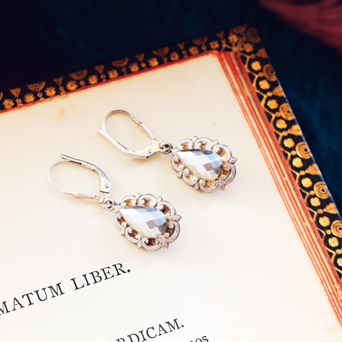 Adorable Victorian Silver Faceted Drop Earrings