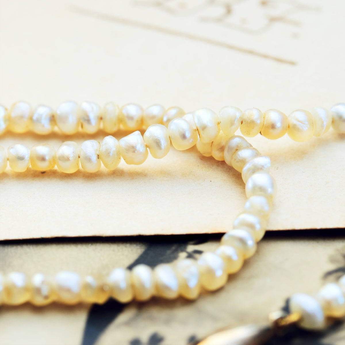 Certificated Natural Saltwater Pearl Necklace