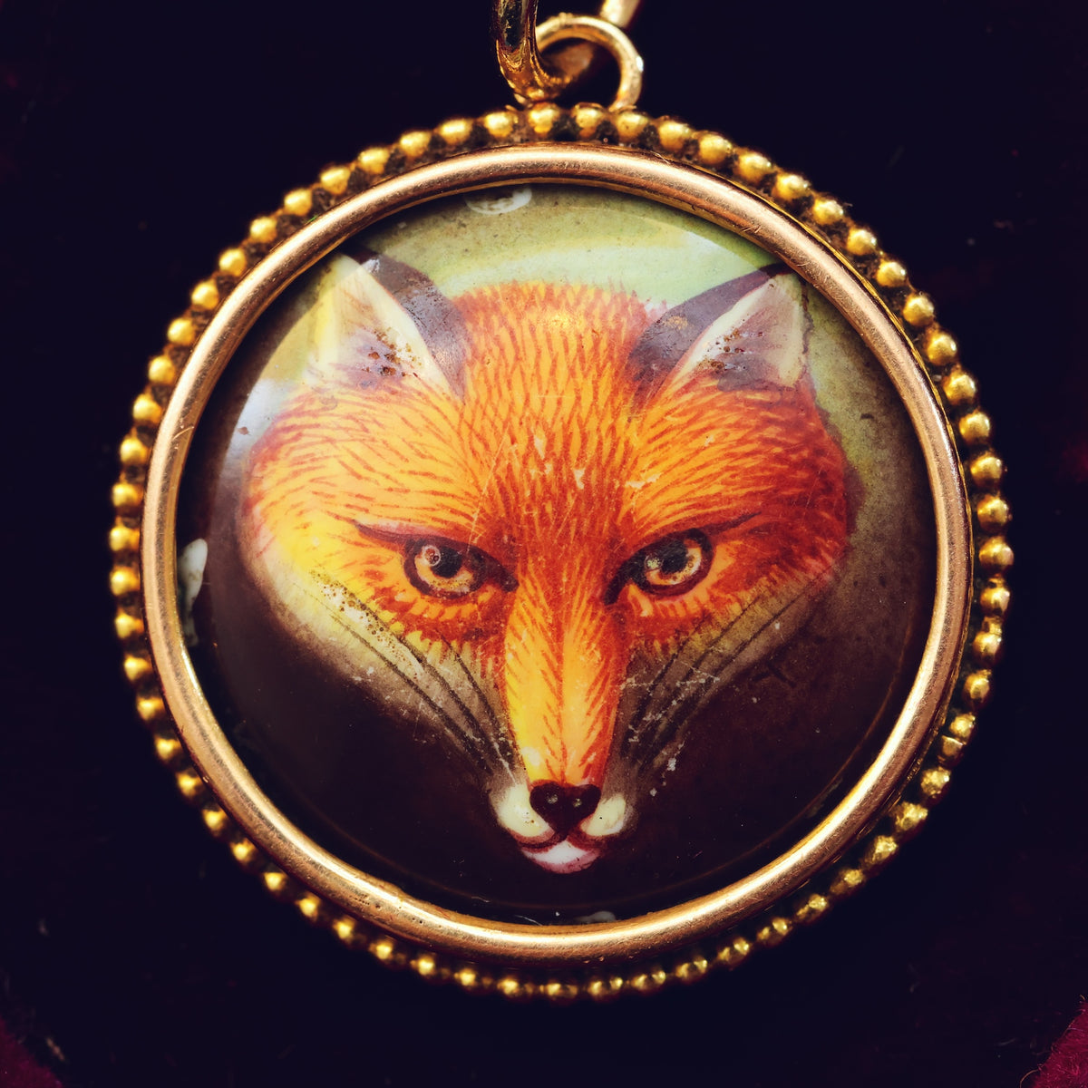 Miniature of a Fox Painted by W B Ford