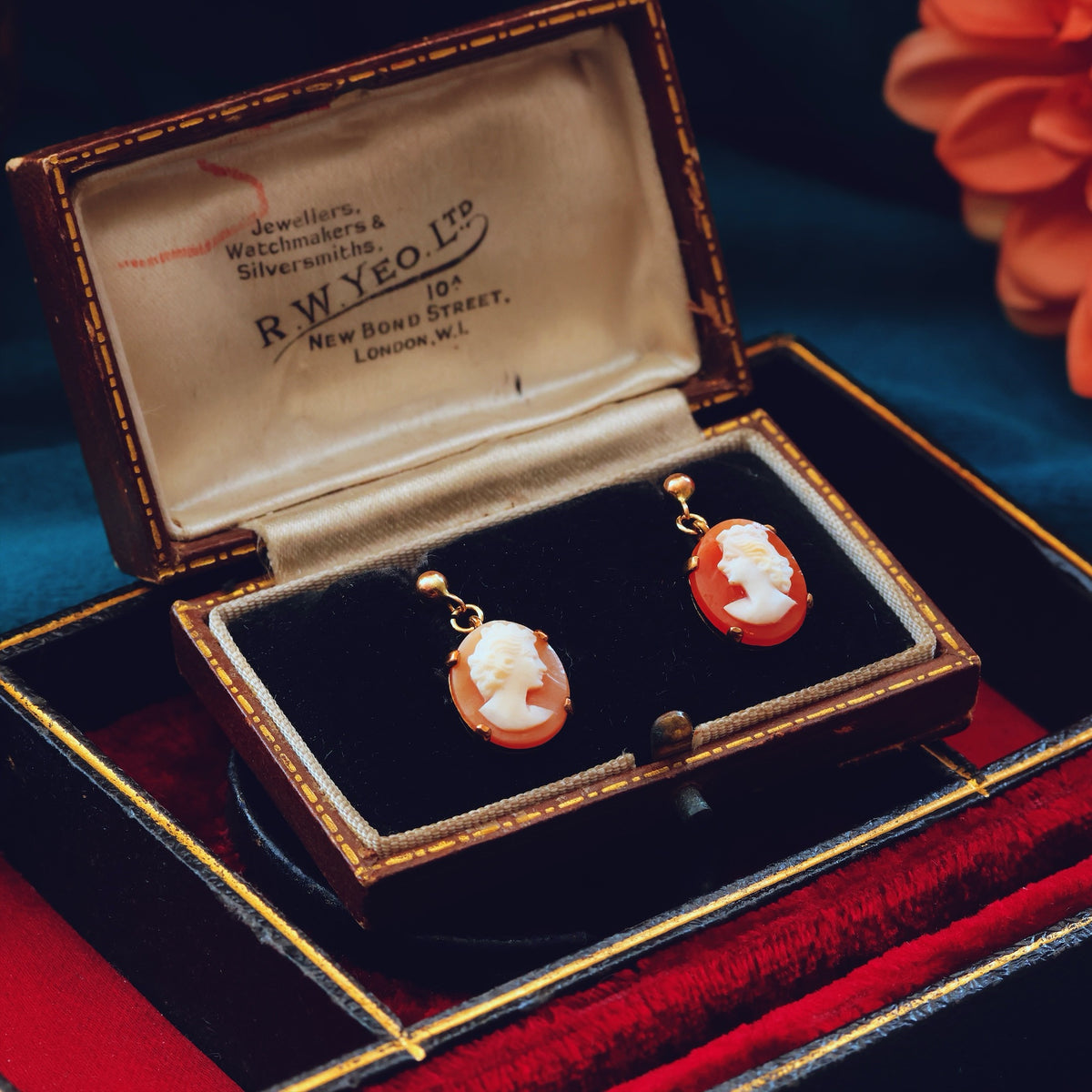 Vintage 1960's Shell Cameo Earrings