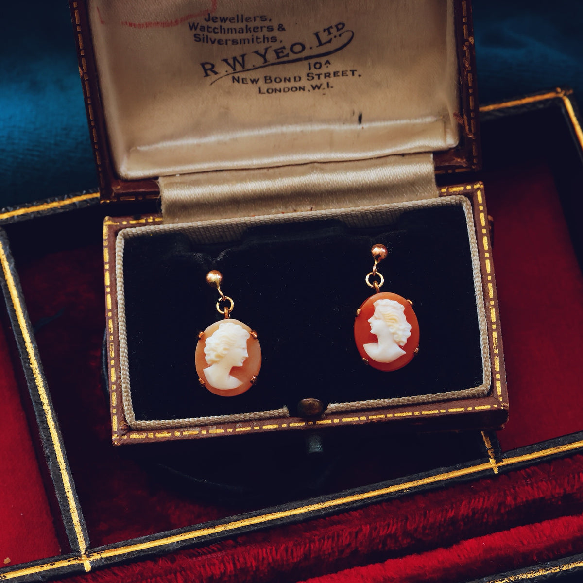 Vintage 1960's Shell Cameo Earrings