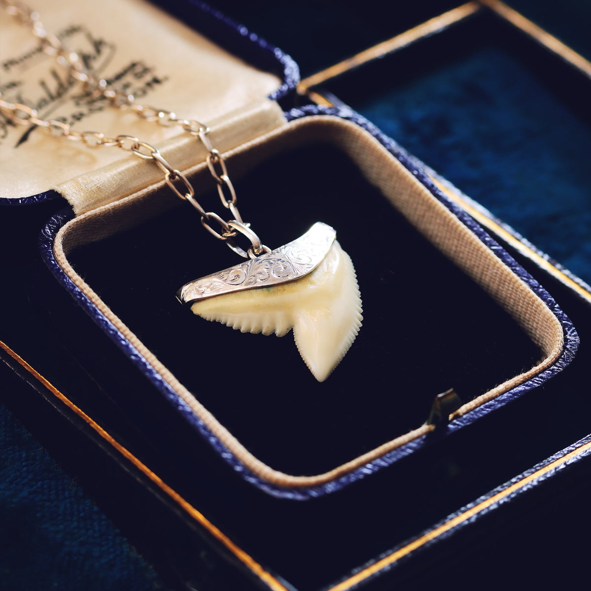 Vintage Silver Mounted Shark's Tooth Pendant