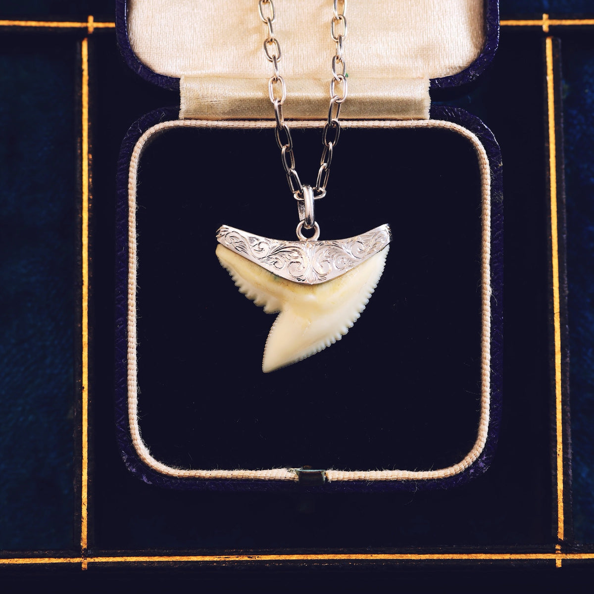Vintage Silver Mounted Shark's Tooth Pendant