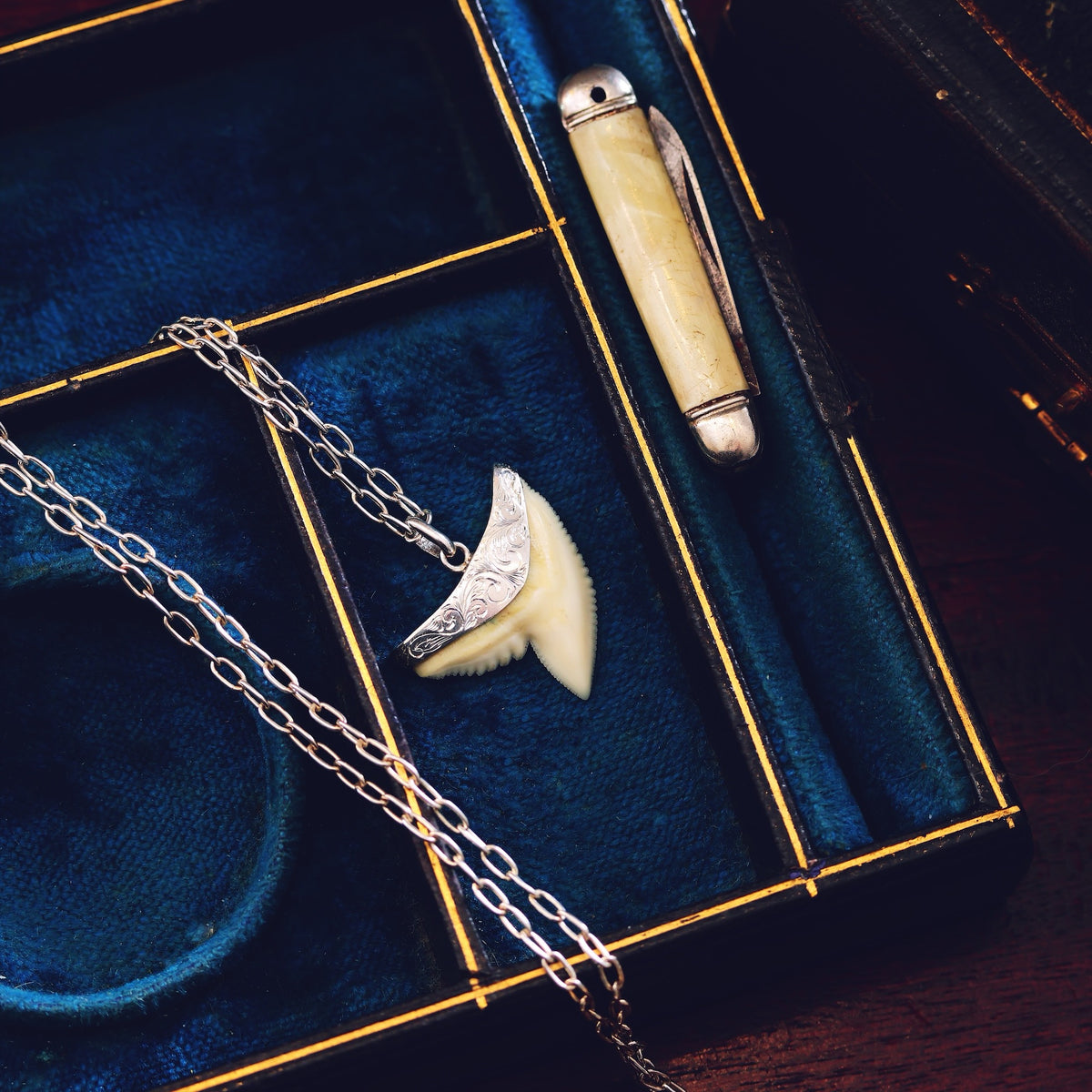 Vintage Silver Mounted Shark's Tooth Pendant