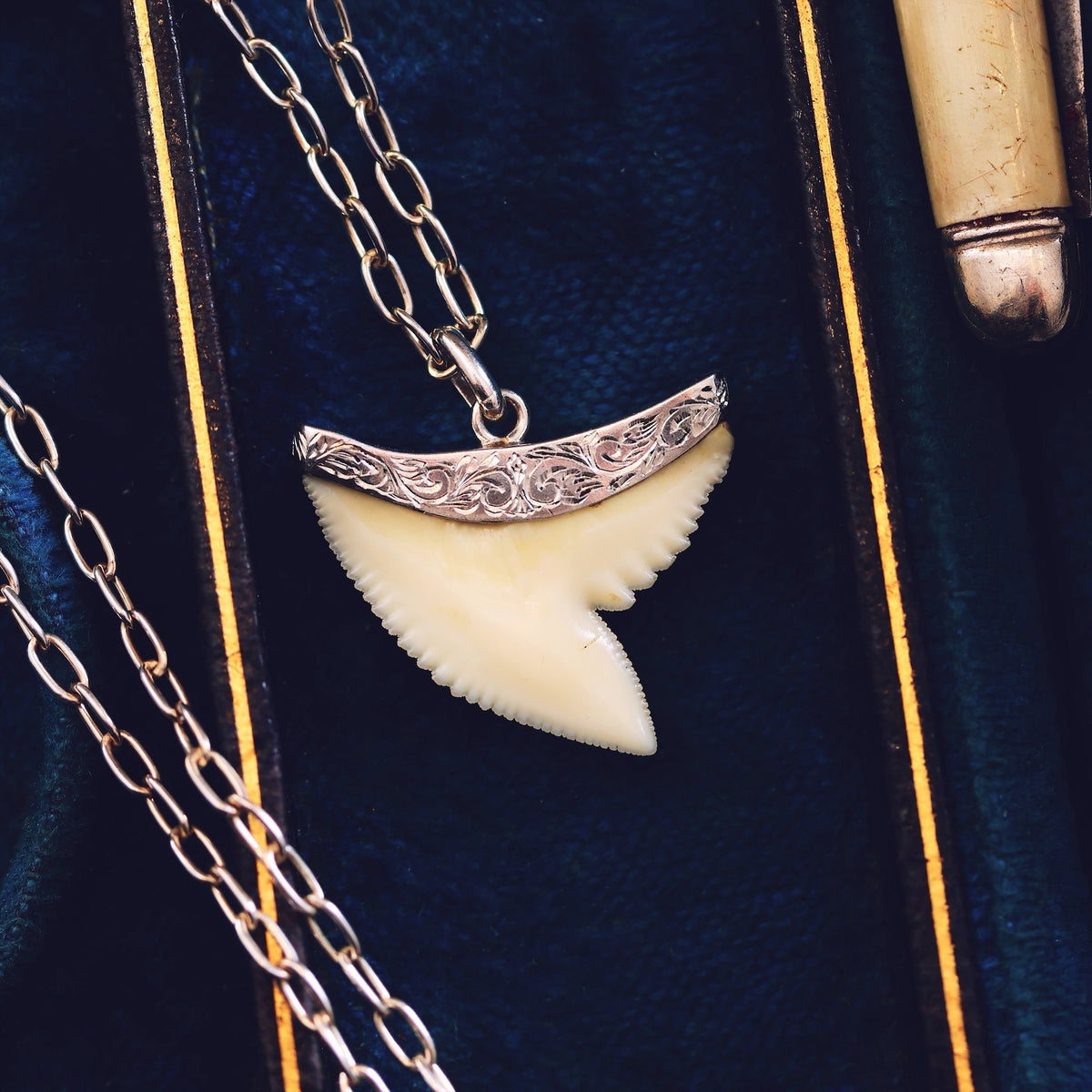Vintage Silver Mounted Shark's Tooth Pendant