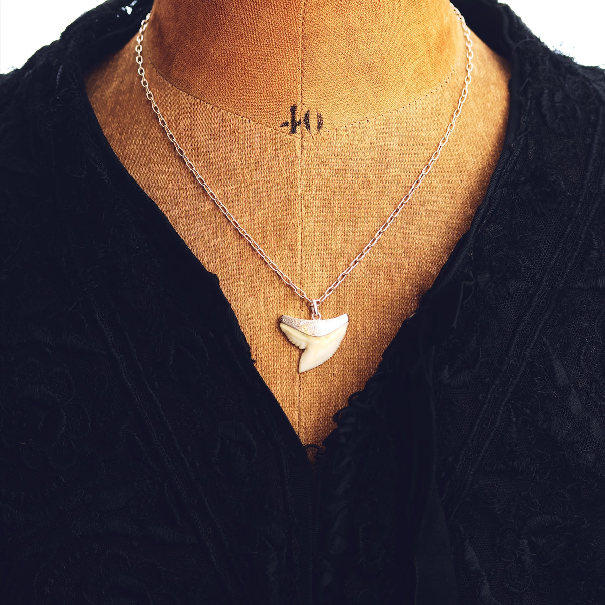 Vintage Silver Mounted Shark's Tooth Pendant