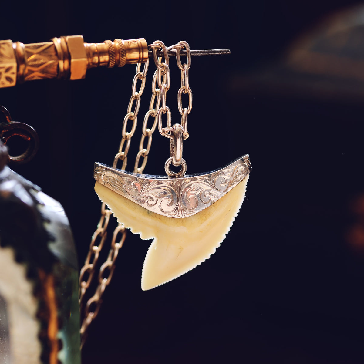 Vintage Silver Mounted Shark's Tooth Pendant