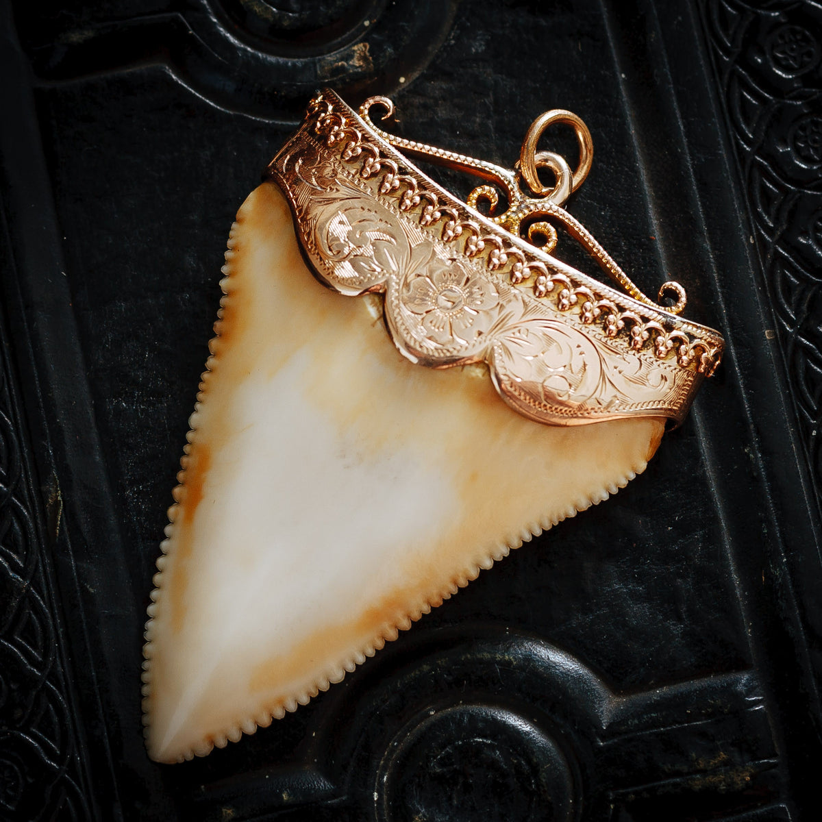 Antique Great White Shark Tooth Pendant
