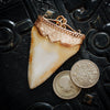 Antique Great White Shark Tooth Pendant
