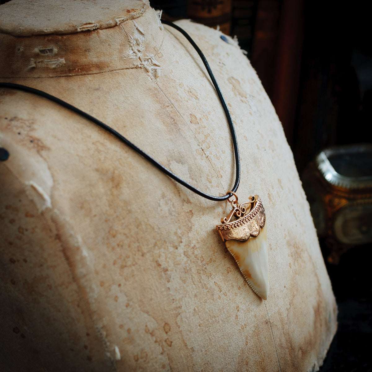 Antique Great White Shark Tooth Pendant
