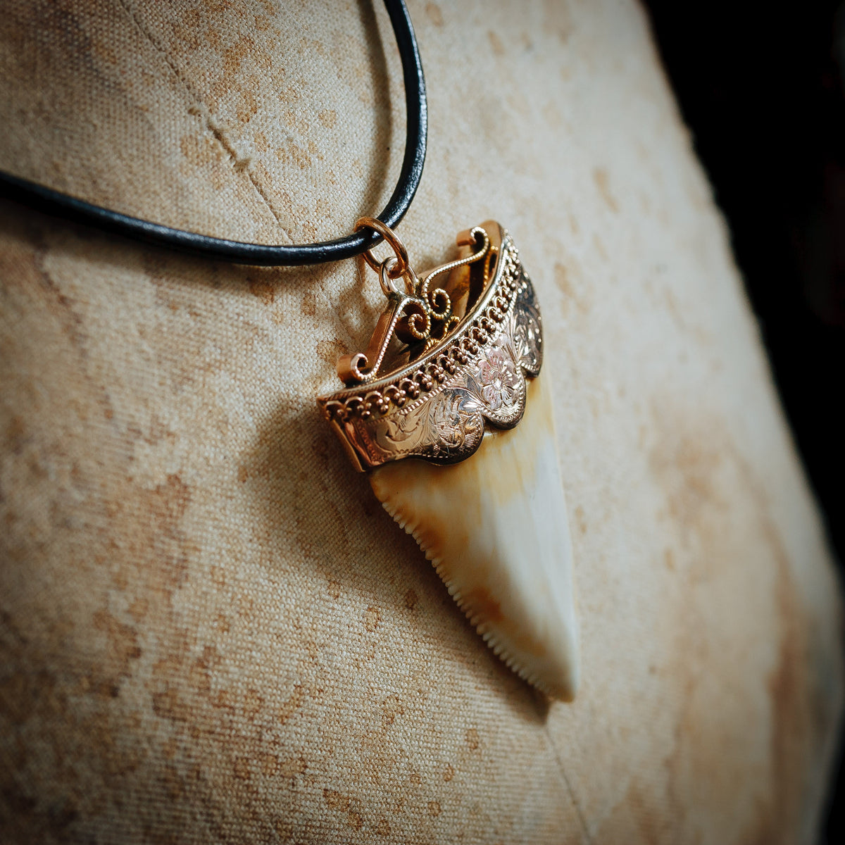Antique Great White Shark Tooth Pendant