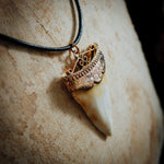 Antique Great White Shark Tooth Pendant