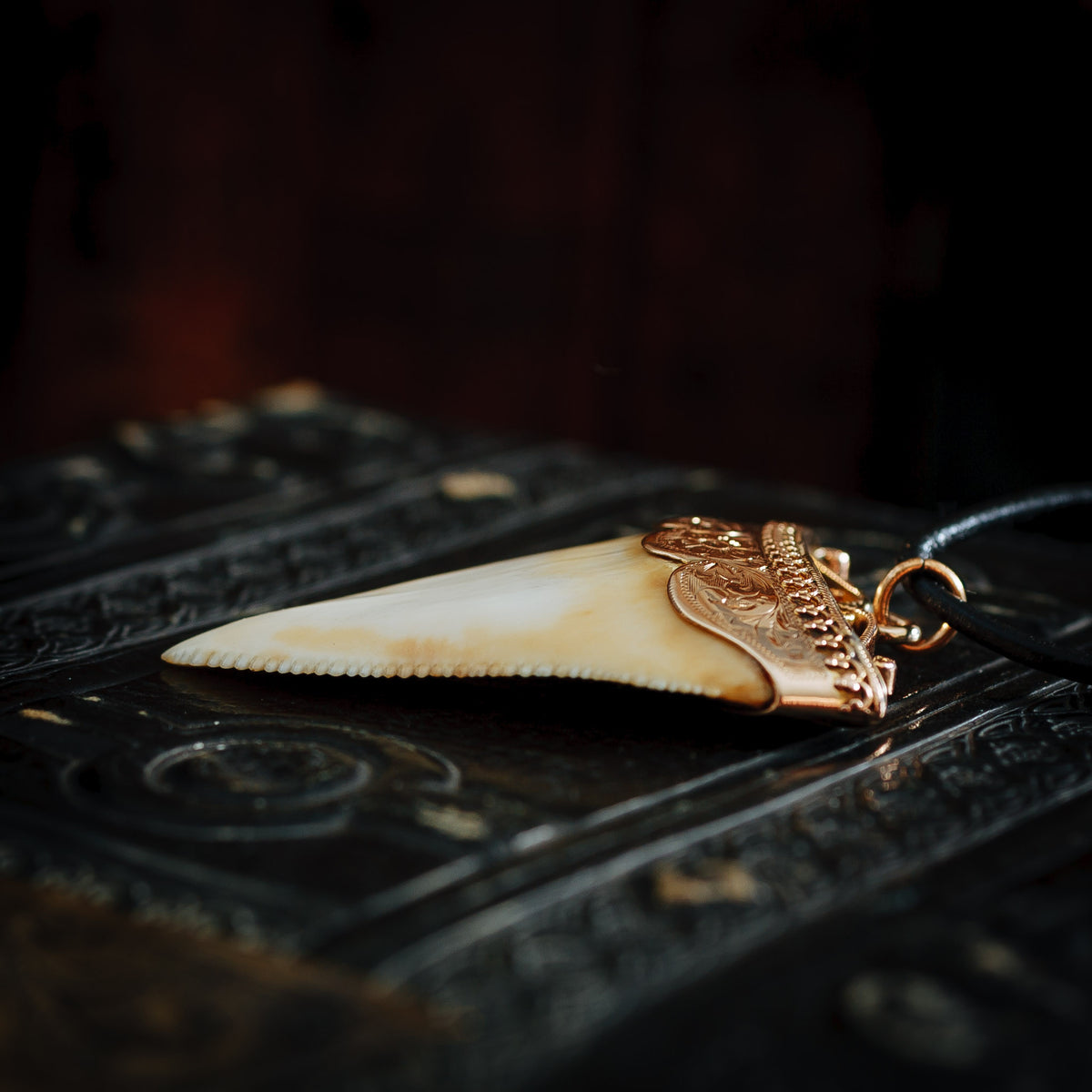 Antique Great White Shark Tooth Pendant