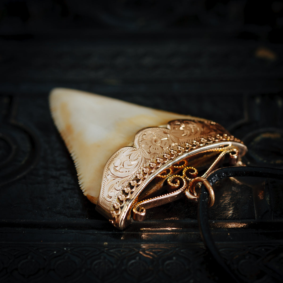 Antique Great White Shark Tooth Pendant