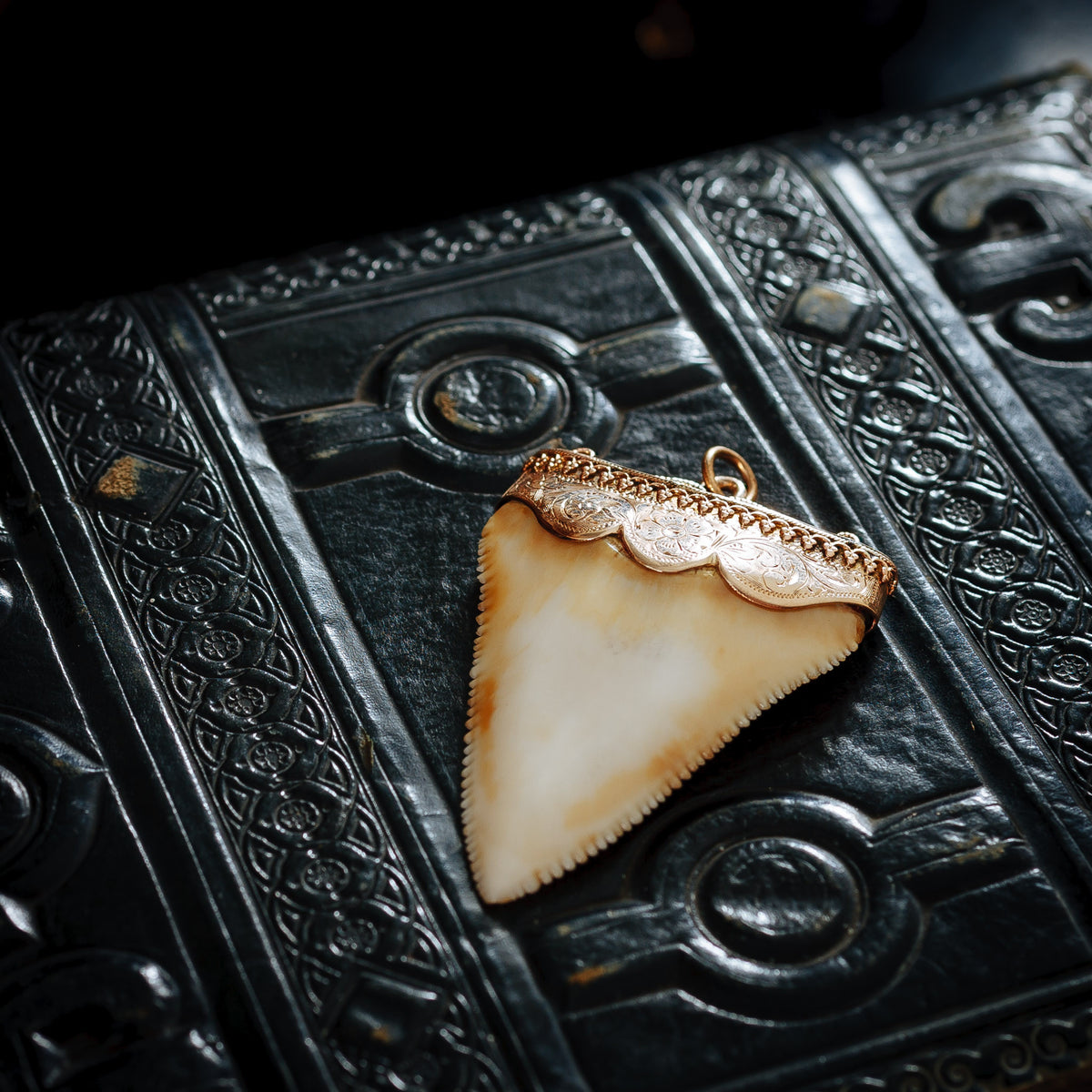 Antique Great White Shark Tooth Pendant