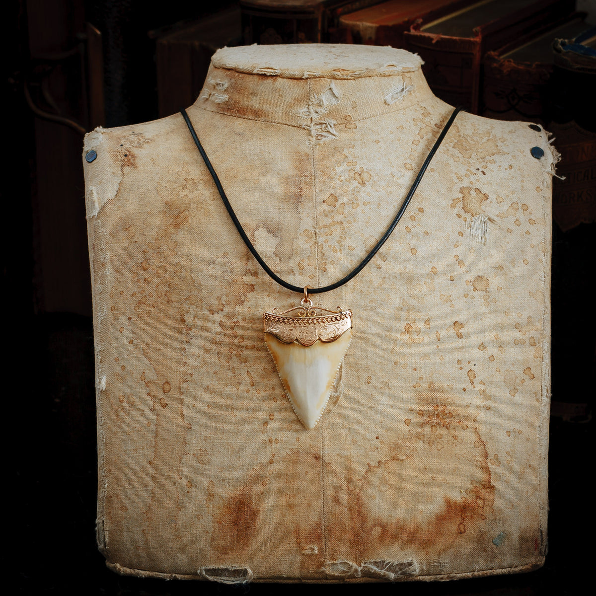 Antique Great White Shark Tooth Pendant