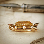 Mellow Art Nouveau Citrine and Seed Pearl Brooch