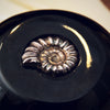 Whitby Jet Silver Ammonite Brooch