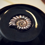 Whitby Jet Silver Ammonite Brooch