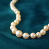 Vintage Cultured Saltwater Pearls