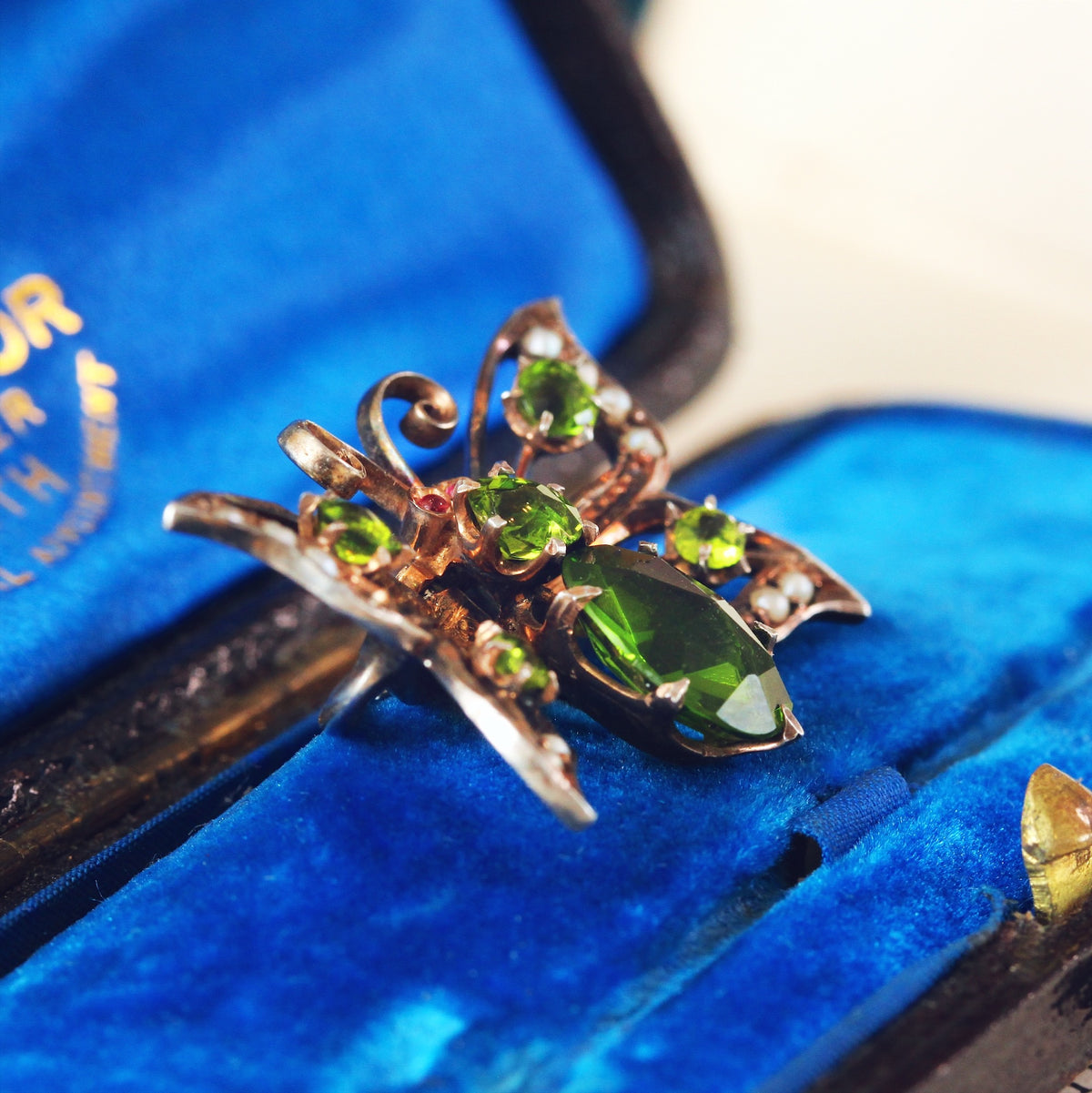 Victorian Butterfly Pin Brooch
