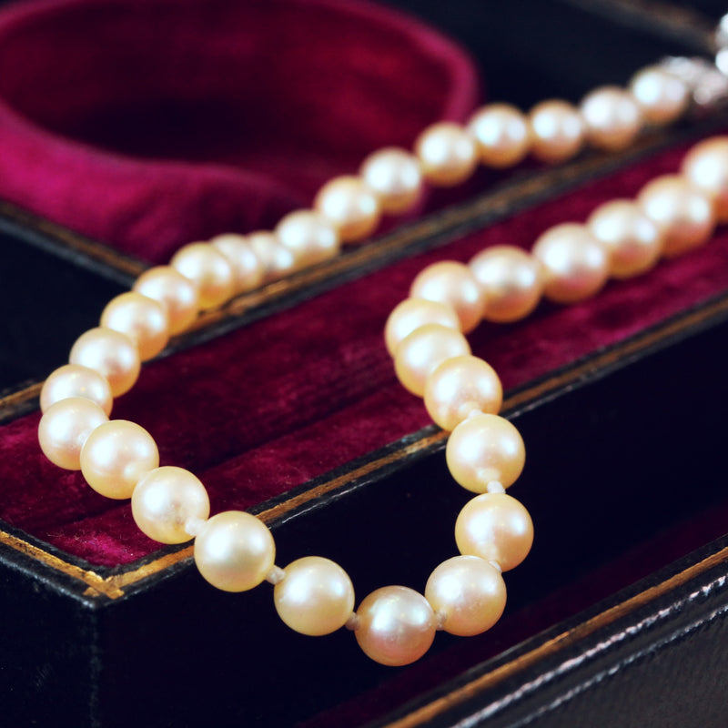 Sensational Quality Vintage Cultured Pearl Necklace