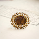 Darling Little Georgian Seed Pearl Fichu Pin Brooch