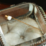 Victorian Baby Tooth Stick Pin